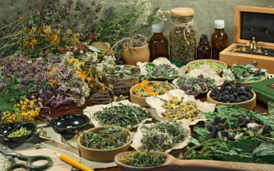 Embracing Natural Health Remedies: Rediscovering Nature’s Healing Power