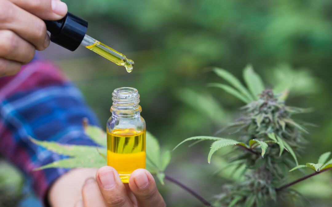 CBD and THC as Natural Remedies: Efficacy, Delivery Methods, and Legal Considerations