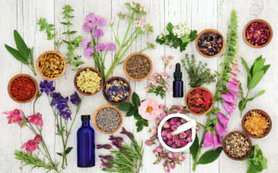 Lessons from the Land: Why These Remedies Still Matter