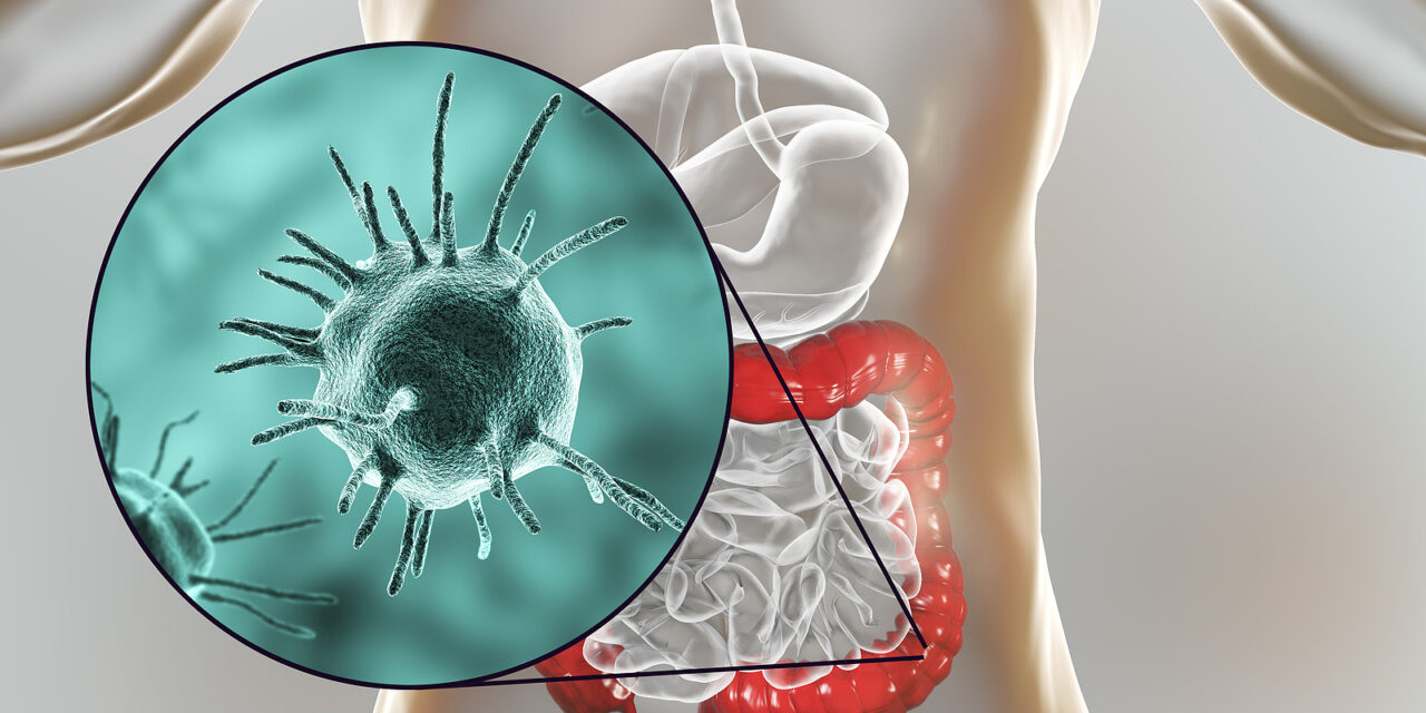 Parasites & Mental Health: The Hidden Link to Anxiety, Depression, and Brain Fog