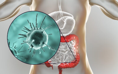 Parasites & Mental Health: The Hidden Link to Anxiety, Depression, and Brain Fog