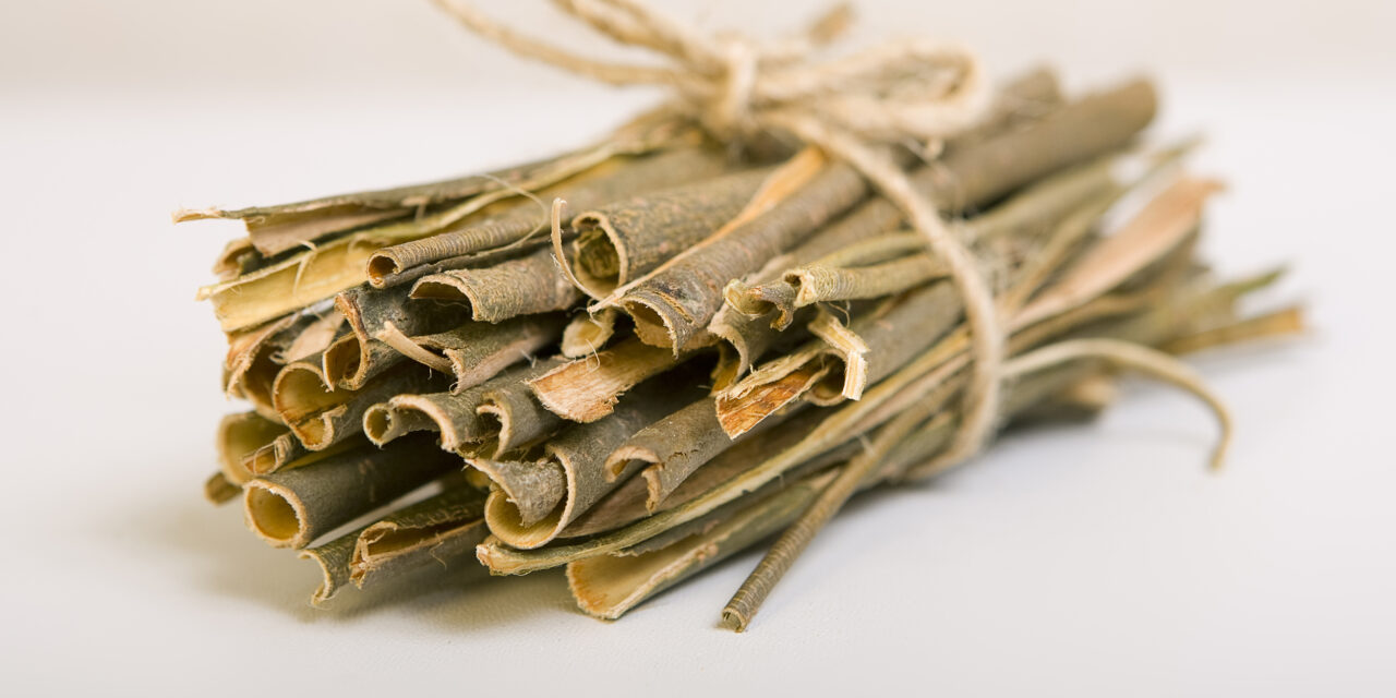 Willow Bark and Wisdom: Nature’s Painkiller