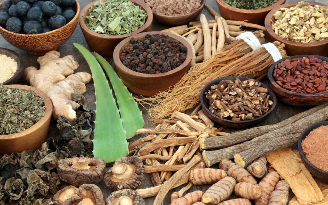 The Power of Adaptogens: How Ashwagandha and Rhodiola Combat Stress