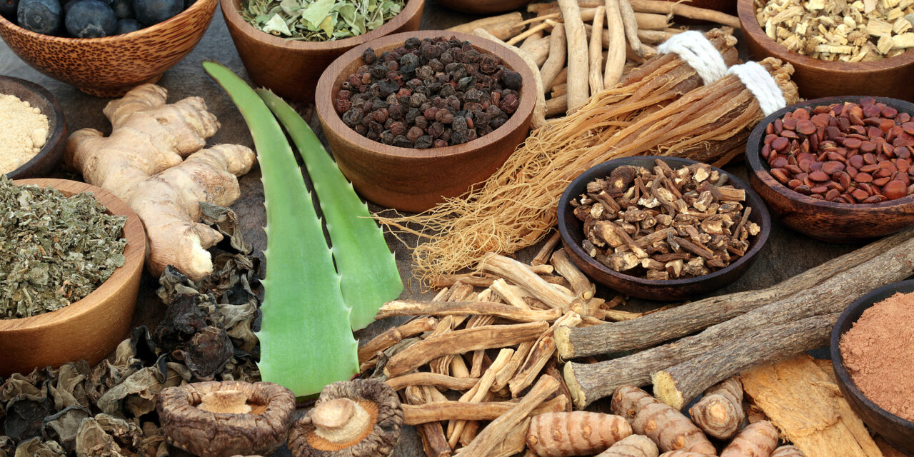 The Power of Adaptogens: How Ashwagandha and Rhodiola Combat Stress