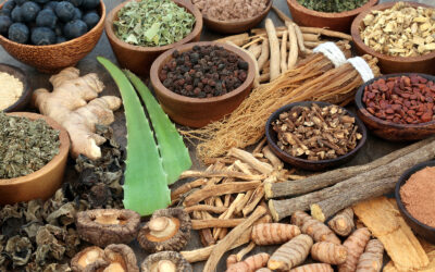 The Power of Adaptogens: How Ashwagandha and Rhodiola Combat Stress