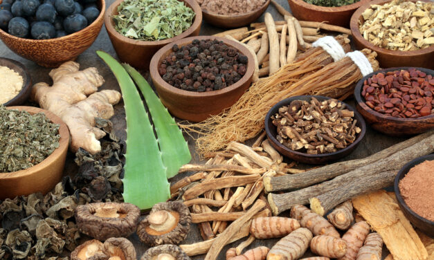 The Power of Adaptogens: How Ashwagandha and Rhodiola Combat Stress