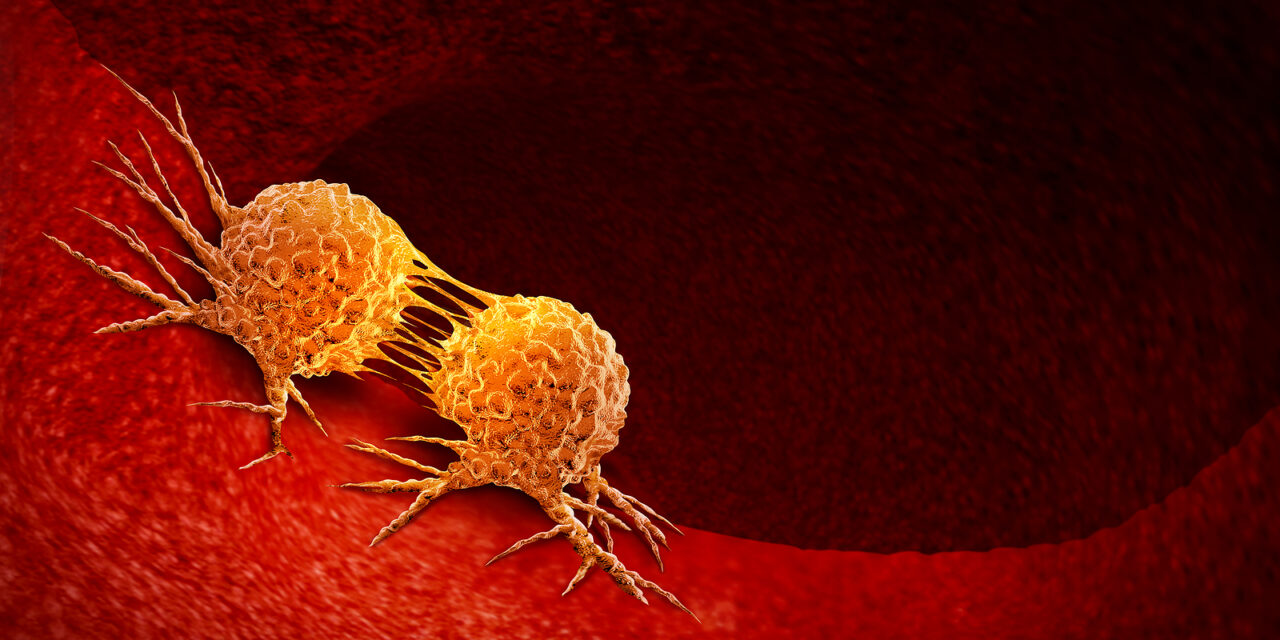 Ivermectin, Fenbendazole, and Mebendazole: Promising Cancer Fighters or Unproven Hype?