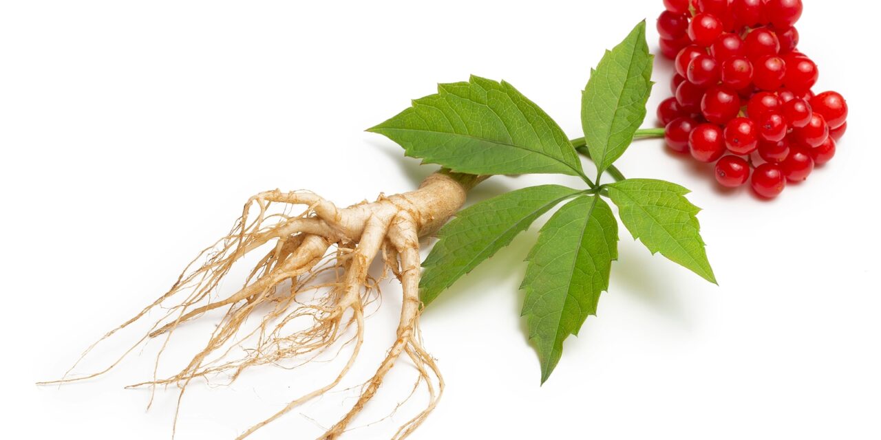 Ginseng: A Cherokee Treasure for Health and Harmony