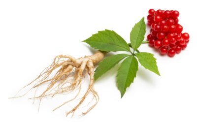 Ginseng: A Cherokee Treasure for Health and Harmony