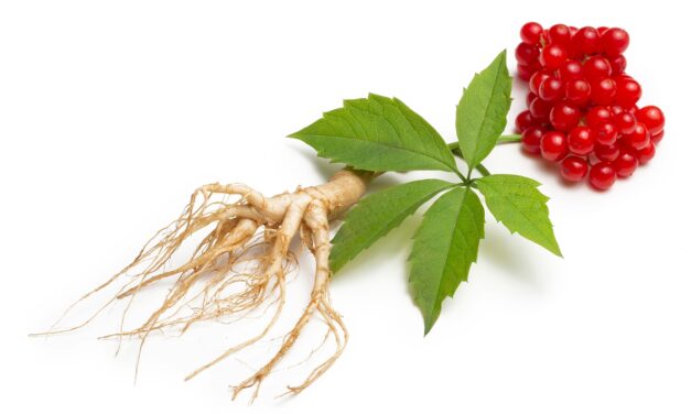 Ginseng: A Cherokee Treasure for Health and Harmony