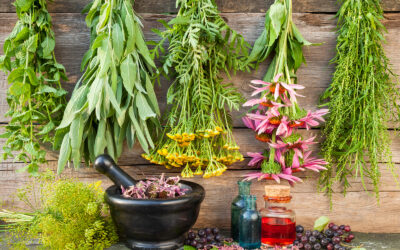 🌿 Herbal Alternatives to OTC Pain Meds