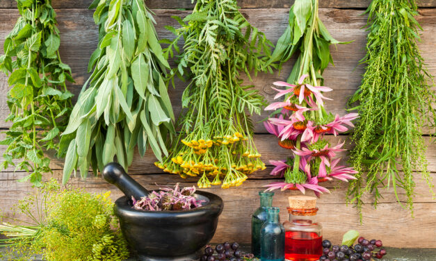 🌿 Herbal Alternatives to OTC Pain Meds