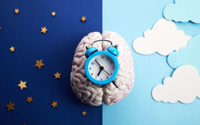 🌙 Circadian Rhythm and Natural Health