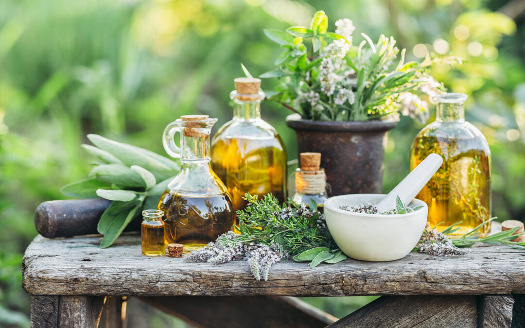 Grow Your Own Remedies: Start a Medicinal Garden –  Inspired by Cherokee Wisdom