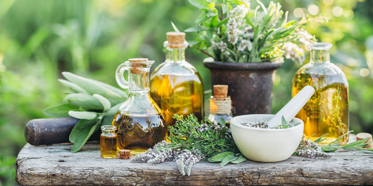 Grow Your Own Remedies: Start a Medicinal Garden –  Inspired by Cherokee Wisdom