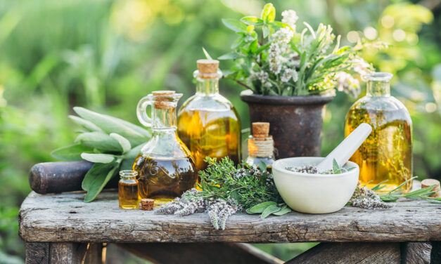 Grow Your Own Remedies: Start a Medicinal Garden –  Inspired by Cherokee Wisdom